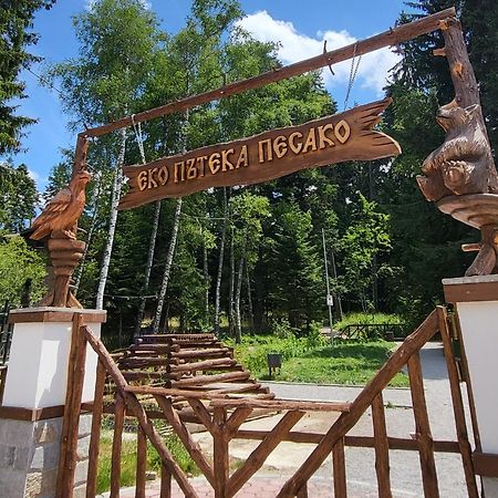 Pinewood Ang Luxurious Apartment A43, Borovets Gardens Esterno foto