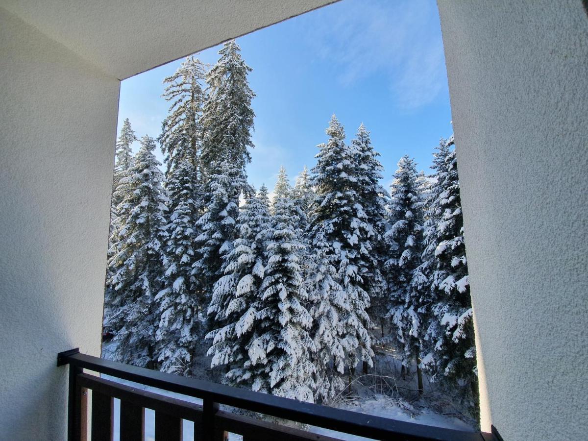 Pinewood Ang Luxurious Apartment A43, Borovets Gardens Esterno foto