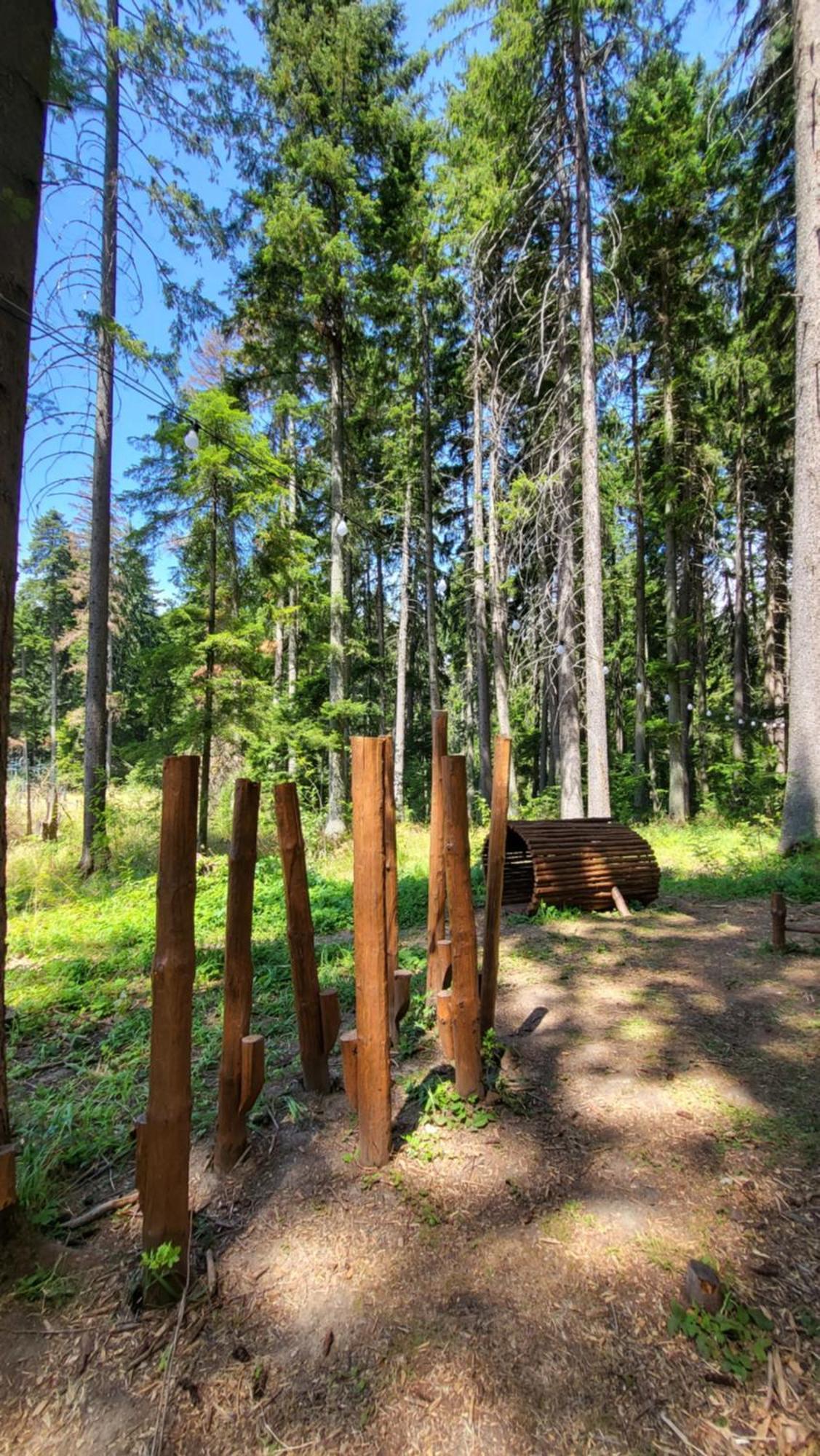 Pinewood Ang Luxurious Apartment A43, Borovets Gardens Esterno foto