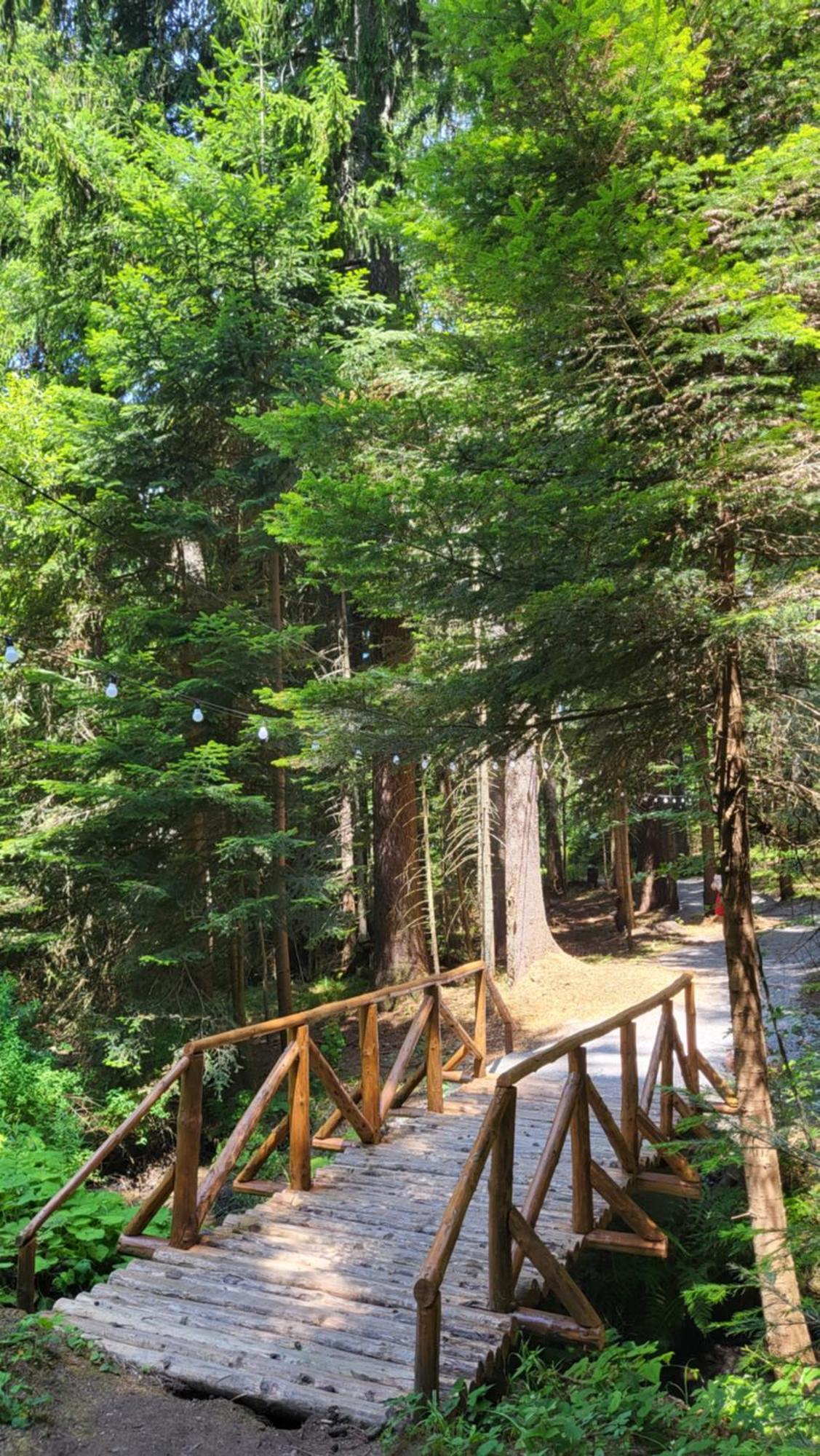 Pinewood Ang Luxurious Apartment A43, Borovets Gardens Esterno foto