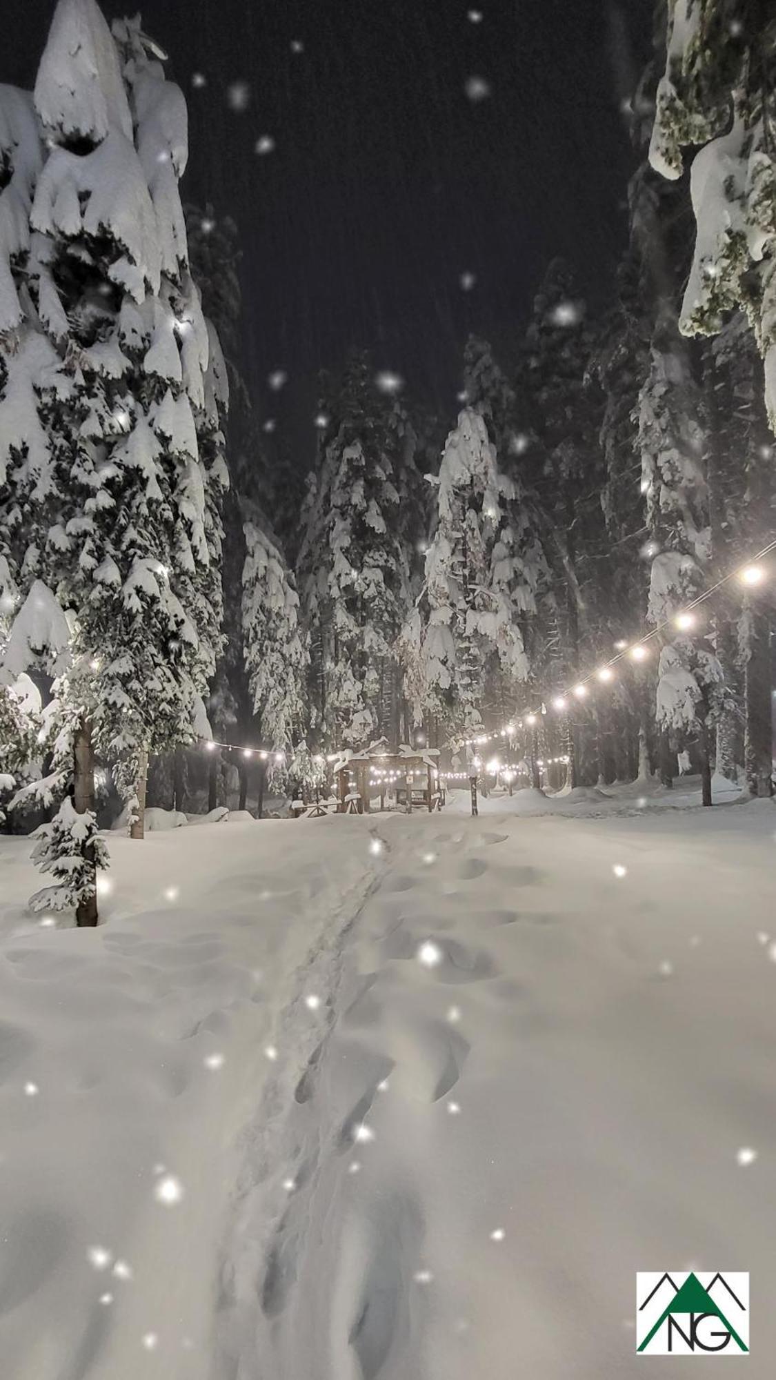 Pinewood Ang Luxurious Apartment A43, Borovets Gardens Esterno foto